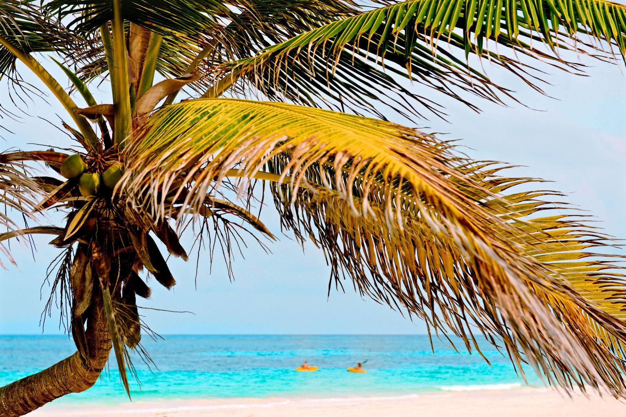 Casa Chable Hotel Punta Allen Eksteriør billede